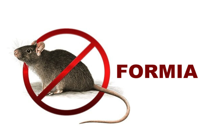 Da oggi parte la campagna di derattizzazione a Formia