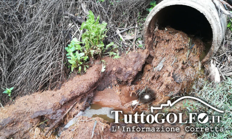 Presunto sversamento di reflui in un corso d’acqua superficiale provenienti da un’area industriale di 500 mq