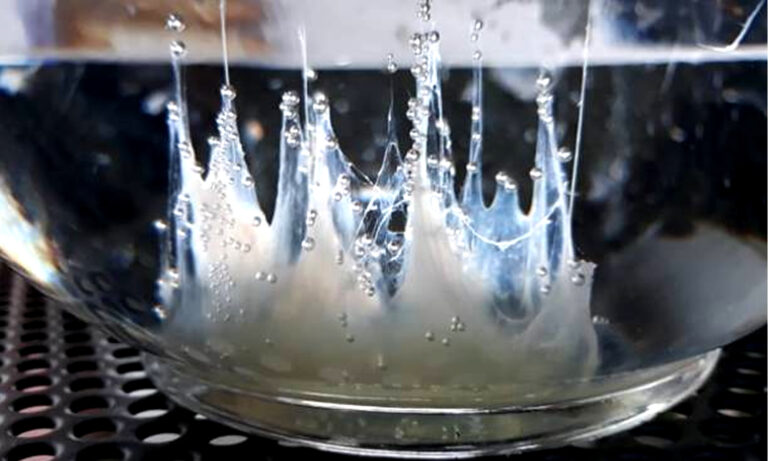 Il mistero della “barca di San Giovanni”: un rito antico che affascina ancora oggi