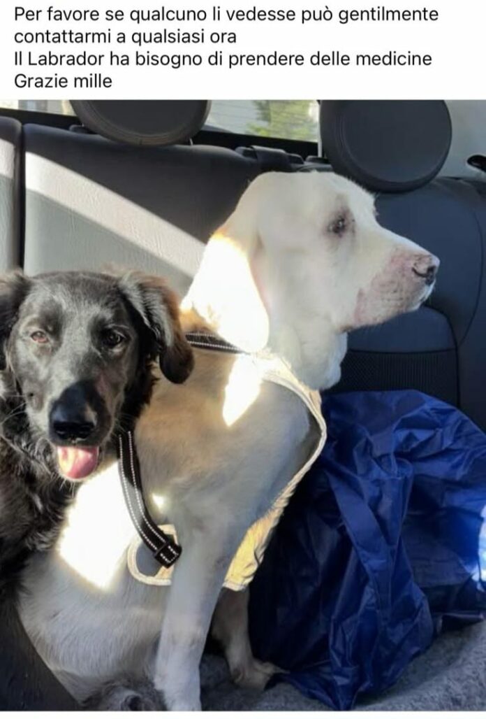 5916f9ac-8377-4958-aeee-8601b64a316c