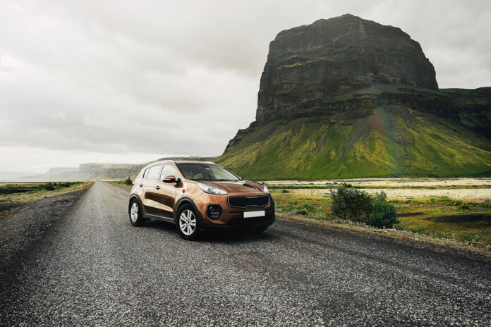 30959-Islanda-on-the_road