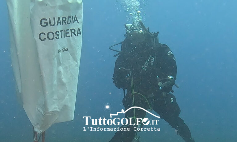 GUARDIA COSTIERA: AL VIA L’OPERAZIONE REGIONALE “NEREIDE”