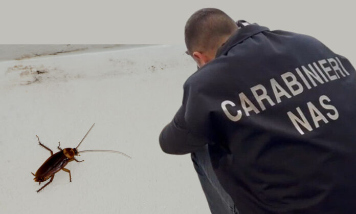 NAS BLATTE SCARAFAGGI
