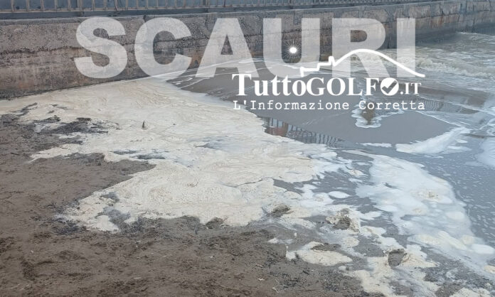 SCHIUMA SCAURI DARSENA