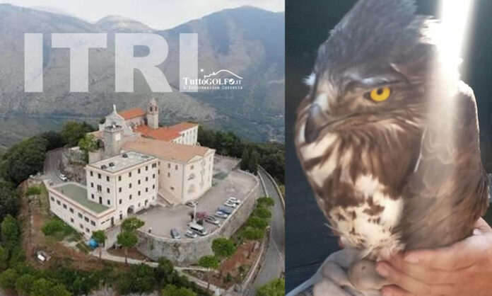 AQUILA ITRI
