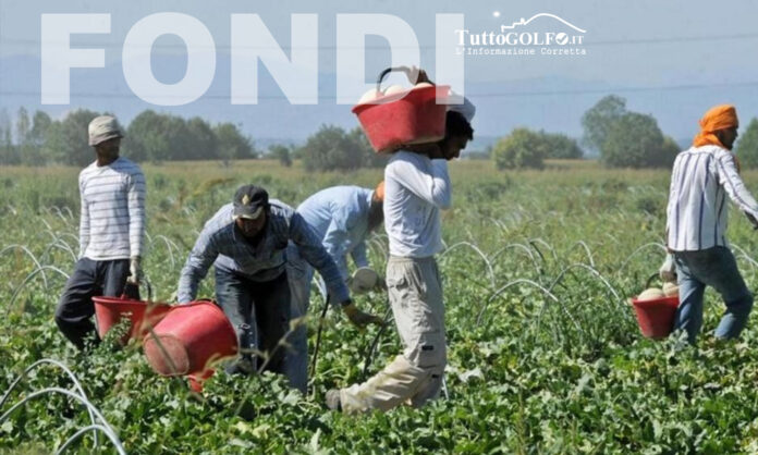 FONDI CAMPAGNA AGRICOLTURA LAVORO NERO