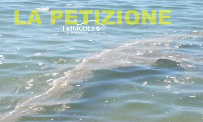 PETIZIONE