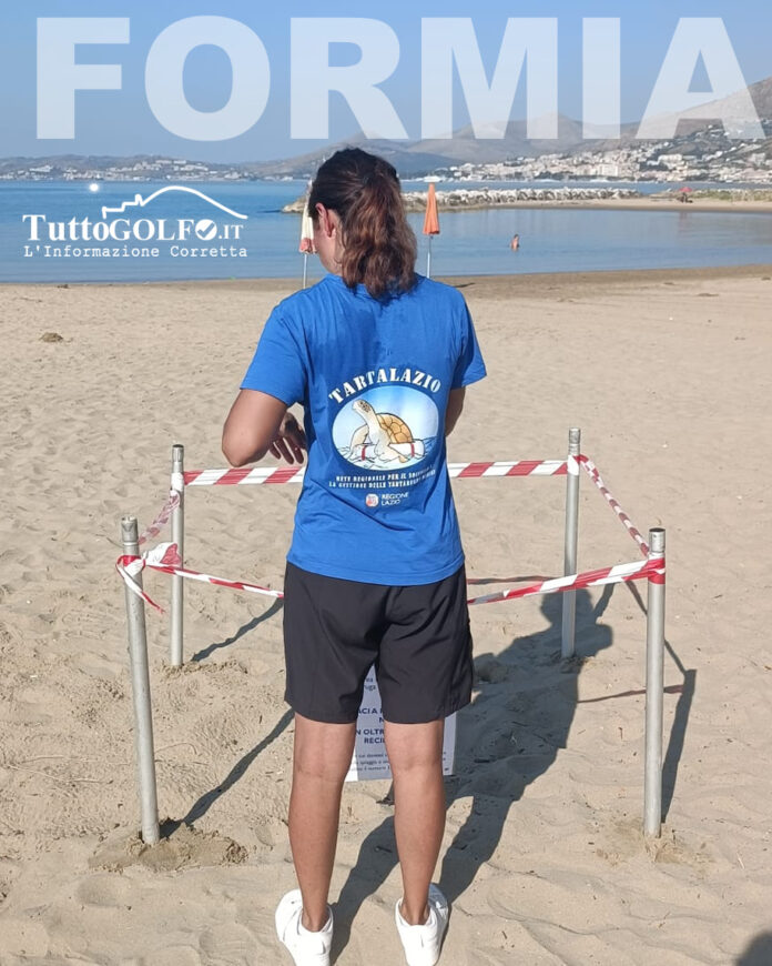 TARTARUGHE FORMIA GIANOLA